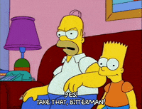 homer simpson episode 3 GIF