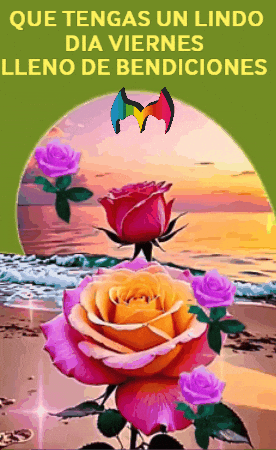 Un Dia Sol GIF by Murcianys LLC