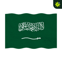 Sticker Flag GIF
