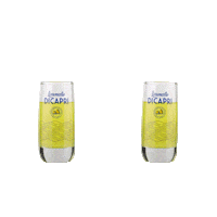 Italy Shot Sticker by MolinariSambuca