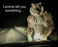 Tiger Transform GIF
