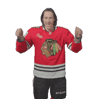 Tyler Bertuzzi Chicago Sticker by NHLBlackhawks