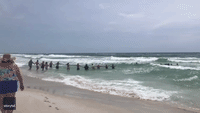 Beachgoers Form Human Chain to Save Swimmer Struggling in Florida Surf