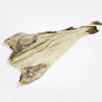 alexandramourabrand alexandramoura GIF