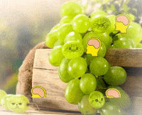 cat meme bbq barbecue freaky GIF