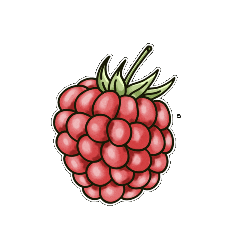 Fruit Hand Drawn Sticker