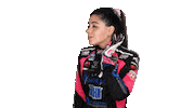Nascar Pilot Sticker by reginasirvent