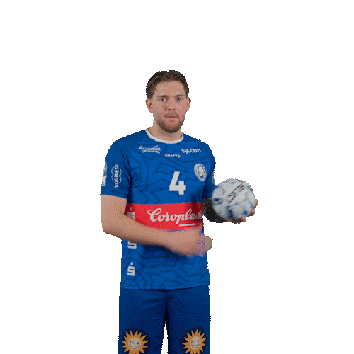 Handball Sticker by bergischerhc06