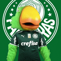 bravo good job GIF by SE Palmeiras