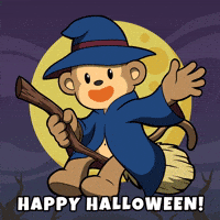 Night Time Hello GIF by Wise Monkey Meme