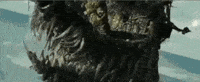Pirates Of The Caribbean Fire GIF
