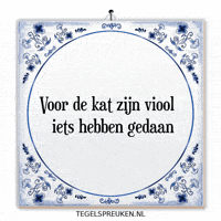 Humor Nl GIF by Tegelspreuken.nl