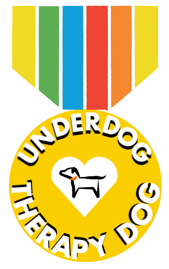 UnderdogInternational giphyupload dog rainbow puppy Sticker