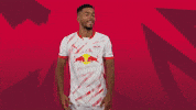 Happy Benjamin Henrichs GIF by RB Leipzig