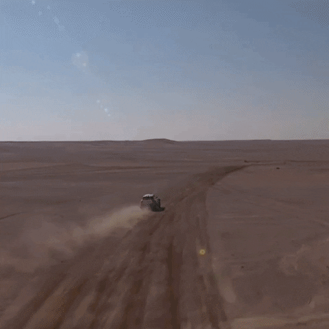 GIF by Red Bull