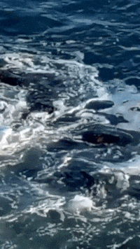 Long Weekend Summer GIF