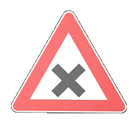 X License Sticker by Autoscuola Bacchi