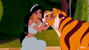 Aladdin Jasmine GIF by Disney Princess