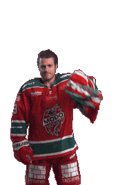 Ice Hockey Hockeyallsvenskan Sticker by MoDo Hockey