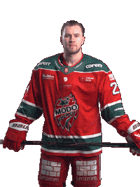 Ice Hockey Hockeyallsvenskan Sticker by MoDo Hockey