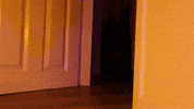 ositolikeme star wars stop motion jason jedi GIF