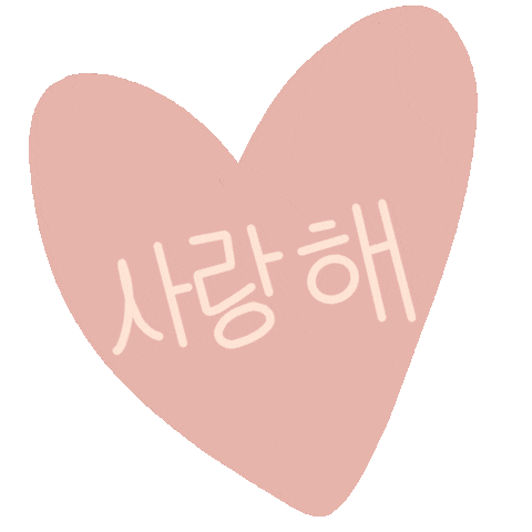 Idol 사랑해 Sticker