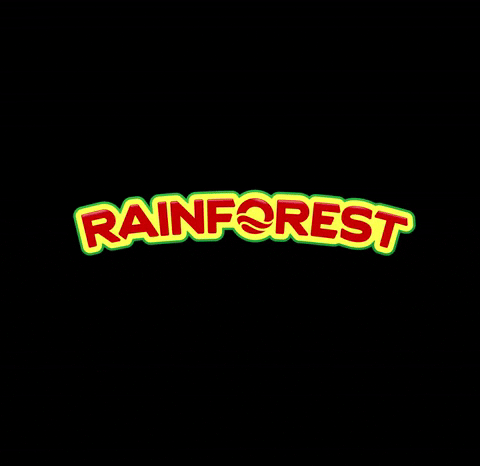 RainforestCarib giphyupload rainforest rainforest caribbean make delicious moments GIF