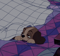 lady and the tramp dog GIF by Disney