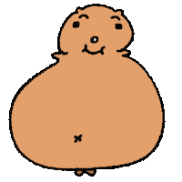 Quokka Sticker