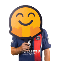 Sport Fun Sticker by Paris Saint-Germain Handball