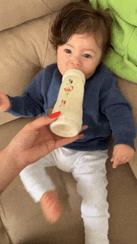 Bb GIF