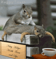 massage GIF
