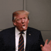 Trump GIF by Gallery.fm