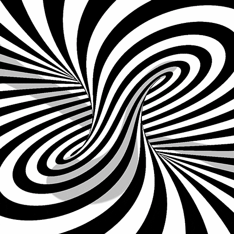 black and white hypnotize GIF by Adam