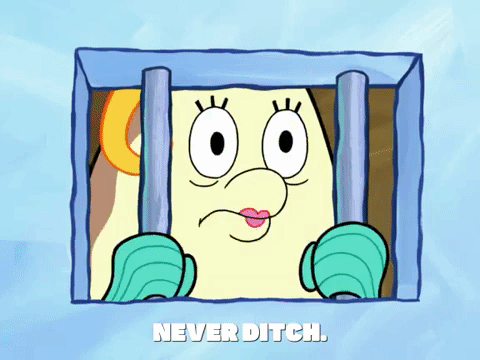 season 6 dear vikings GIF by SpongeBob SquarePants