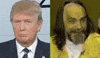 trump GIF