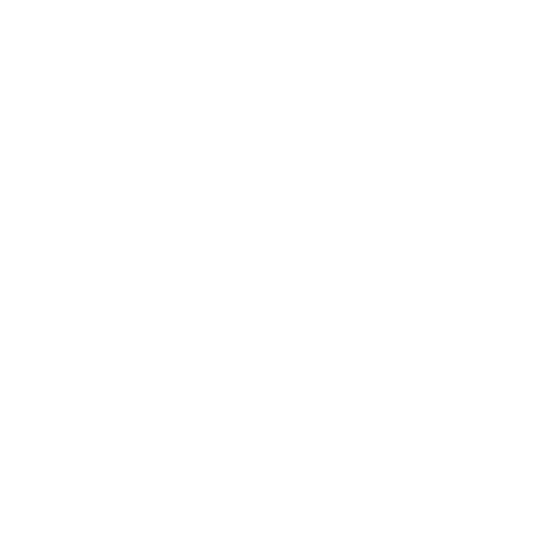 Chinese Fun Sticker