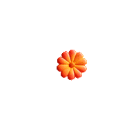 Flower Sticker by Sueños Music Festival