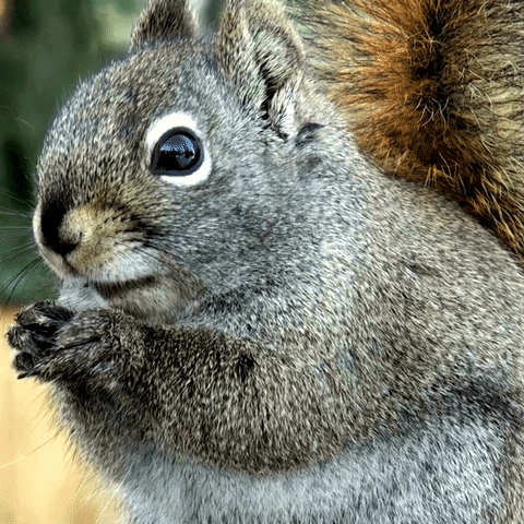 Move Moving GIF by TWO MEN AND A TRUCK®