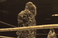 Fabulous Moolah Wwe GIF