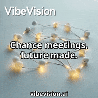 Fun Vibe GIF by VibeVision