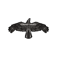 Memento Mori Halloween Sticker by The Wild Curiosity