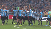 GIF by Grêmio