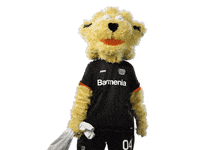 Bayer 04 Werkself GIF by Bayer 04 Leverkusen