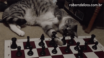 moves GIF