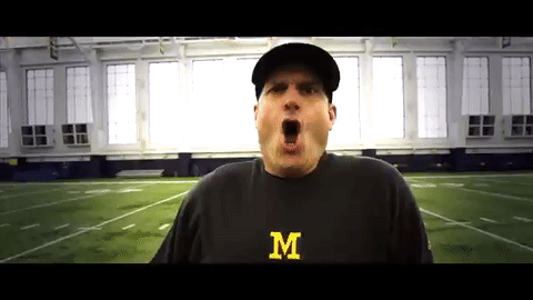 GIF by Michigan Athletics