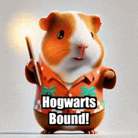 Harry Potter Wizarding GIF by Guinea Gambino