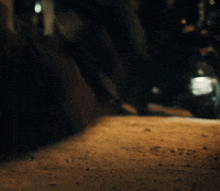 Fall GIF by Post Malone