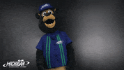 MISpeedway nascar face palm brooks mis GIF