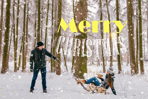 Christmas Snow GIF